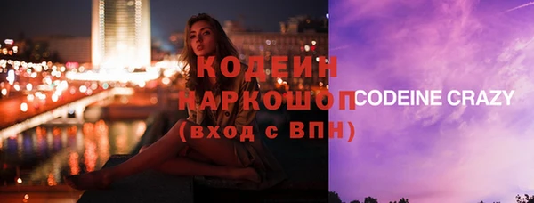 метадон Алексин