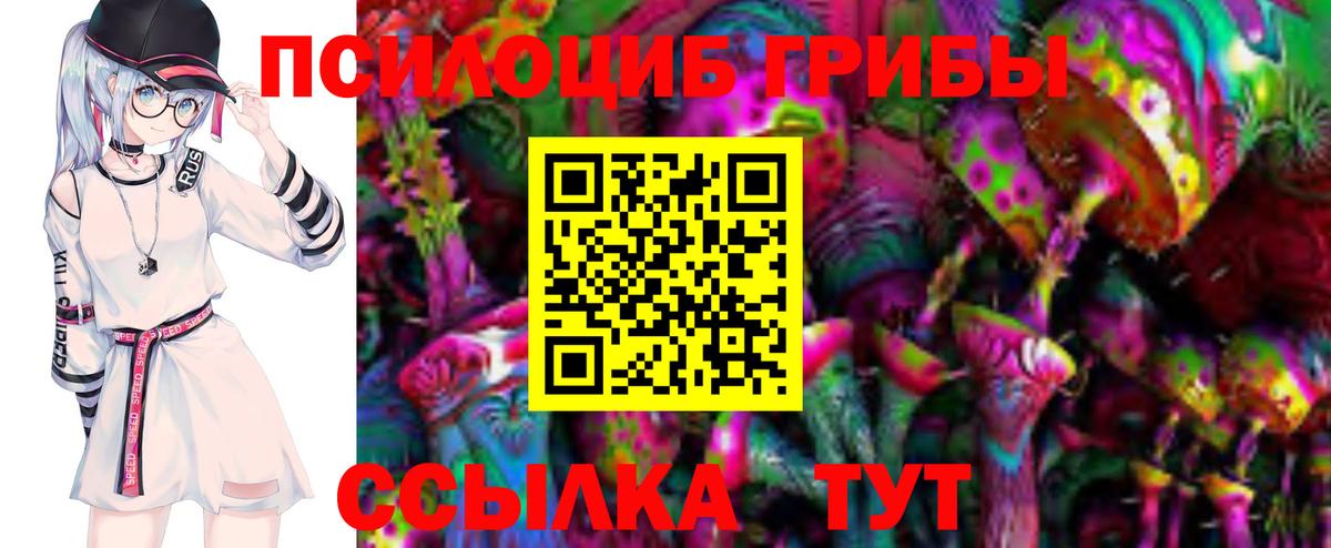 Большой Камень  Псилоцибиновые грибы Psilocybe  Вход с VPN  Галлюциногенные грибы мухоморы 